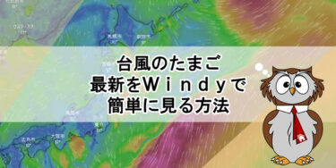 台風のたまご2023年の最新をWindyで簡単に見る方法