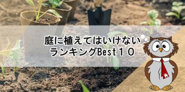 庭に植えてはいけない木ランキングBest10を大公開